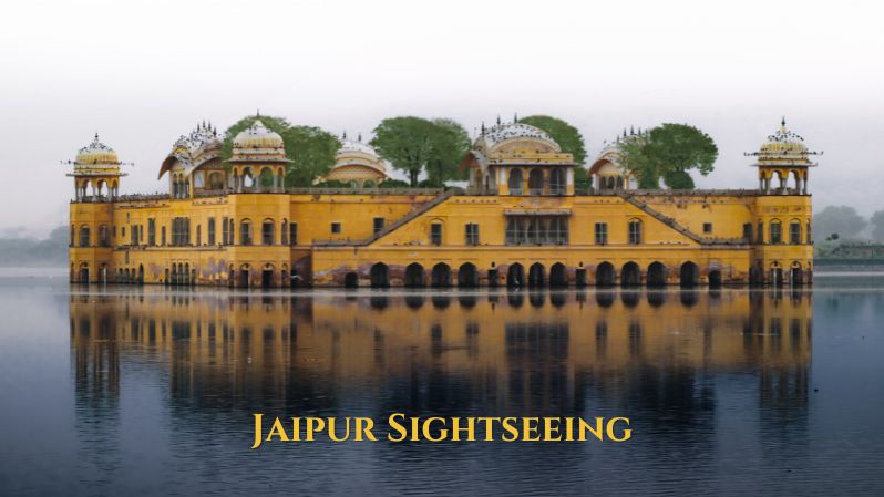 Half day Amer Fort (Morning Tour)